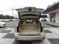 Satin Cashmere Metallic - RX 350 AWD Photo No. 5