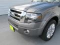 2014 Sterling Gray Ford Expedition Limited  photo #7