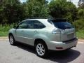 2008 Bamboo Pearl Lexus RX 350 AWD  photo #5