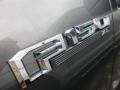 Magnetic - F150 XL SuperCab Photo No. 3