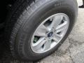 Magnetic - F150 XL SuperCab Photo No. 4
