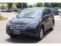 Crystal Black Pearl - CR-V LX Photo No. 3