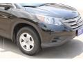 Crystal Black Pearl - CR-V LX Photo No. 10