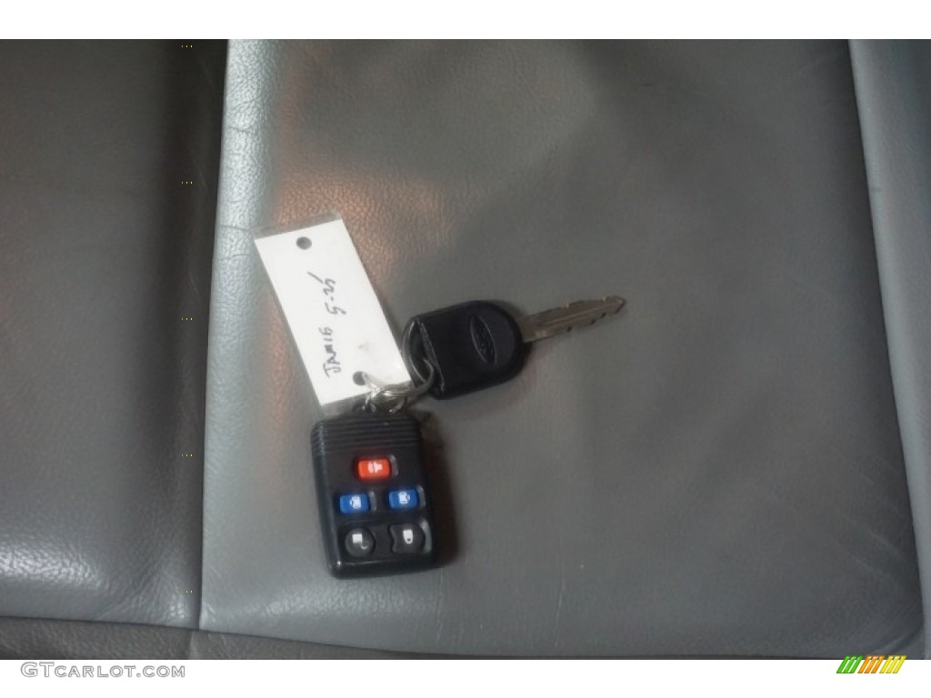 2004 Freestar Limited - Medium Steel Blue Metallic / Flint Grey photo #47