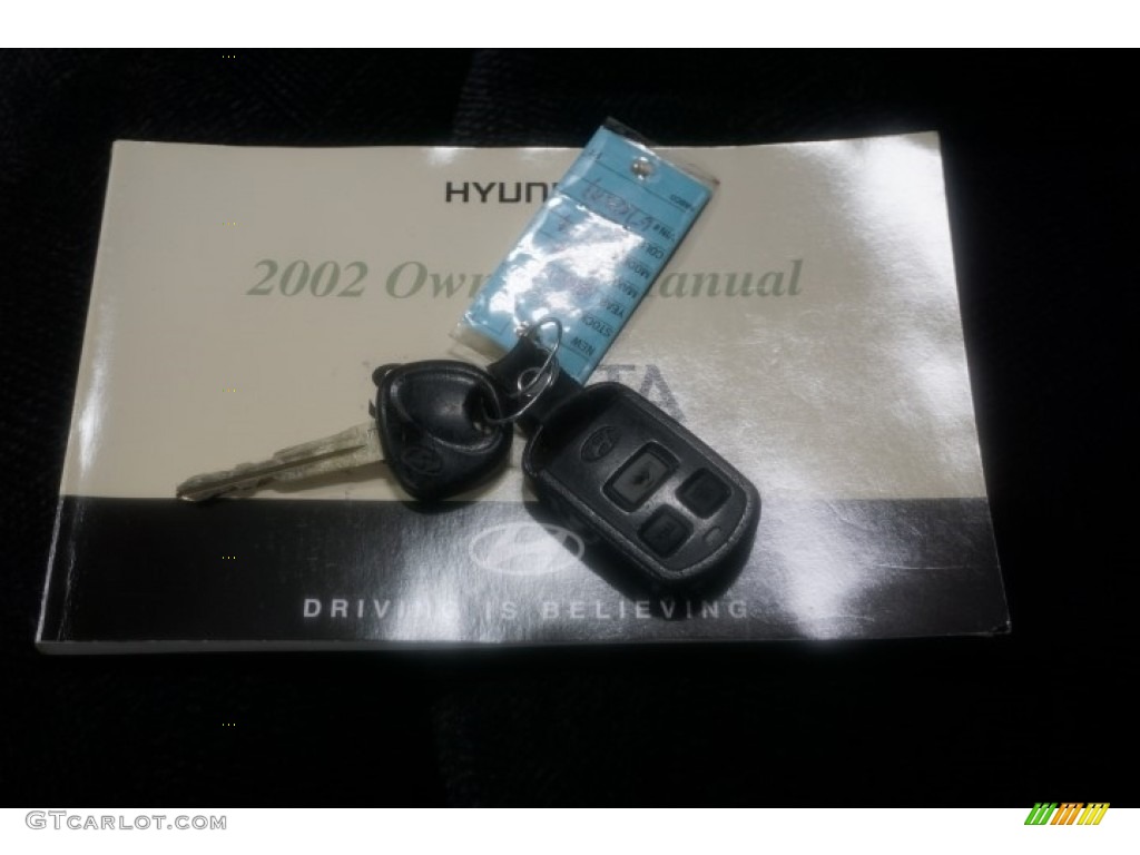 2002 Sonata GLS V6 - Ardor Blue / Black photo #39