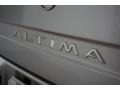 Platinum Metallic - Altima GXE Photo No. 84
