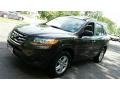 Espresso Brown - Santa Fe GLS AWD Photo No. 3