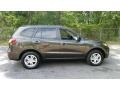 Espresso Brown - Santa Fe GLS AWD Photo No. 5
