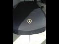2005 Nero Noctis (Black) Lamborghini Gallardo Coupe  photo #21