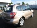 Burnished Bronze Metallic - Forester 2.5i Photo No. 7