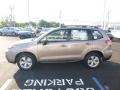 Burnished Bronze Metallic - Forester 2.5i Photo No. 9
