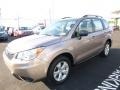 2016 Burnished Bronze Metallic Subaru Forester 2.5i  photo #10