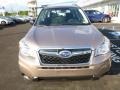 Burnished Bronze Metallic - Forester 2.5i Photo No. 11