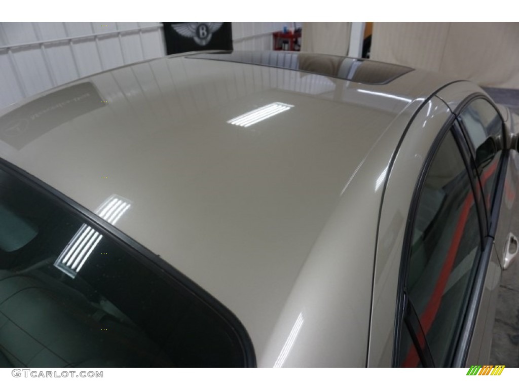 2004 LS V8 - Cashmere Tri-Coat / Dark Stone/Medium Light Stone photo #86