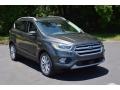 Magnetic 2017 Ford Escape Titanium Exterior