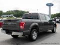 Magnetic Metallic - F150 XLT SuperCrew Photo No. 5