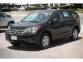 Crystal Black Pearl - CR-V LX Photo No. 8