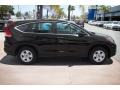 Crystal Black Pearl - CR-V LX Photo No. 12