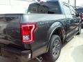 Magnetic - F150 XLT SuperCrew Photo No. 4