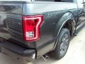 Magnetic - F150 XLT SuperCrew Photo No. 5