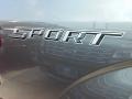 Magnetic - F150 XLT SuperCrew Photo No. 8