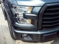 Magnetic - F150 XLT SuperCrew Photo No. 9