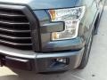 Magnetic - F150 XLT SuperCrew Photo No. 10