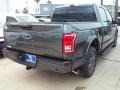 Magnetic - F150 XLT SuperCrew Photo No. 12