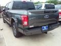 Magnetic - F150 XLT SuperCrew Photo No. 15