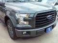 Magnetic - F150 XLT SuperCrew Photo No. 20