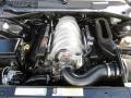 2010 Brilliant Black Crystal Pearl Dodge Charger SRT8  photo #21