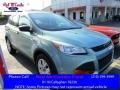 Frosted Glass Metallic 2013 Ford Escape S
