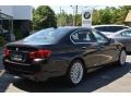 2013 Black Sapphire Metallic BMW 5 Series 535i xDrive Sedan  photo #3