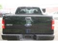 2006 Black Ford F150 FX4 SuperCab 4x4  photo #6