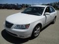 Powder White Pearl - Sonata SE V6 Photo No. 5
