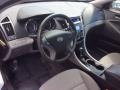Iridescent Silver Blue Pearl - Sonata GLS Photo No. 9