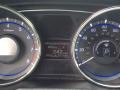 Iridescent Silver Blue Pearl - Sonata GLS Photo No. 20