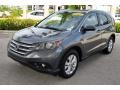 Polished Metal Metallic - CR-V EX-L Photo No. 4
