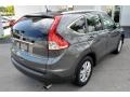 Polished Metal Metallic - CR-V EX-L Photo No. 9