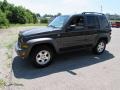 2006 Dark Khaki Pearl Jeep Liberty CRD Sport 4x4  photo #8