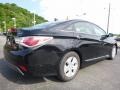Black Onyx Pearl - Sonata Hybrid Photo No. 4