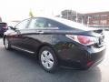 Black Onyx Pearl - Sonata Hybrid Photo No. 6
