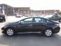Black Onyx Pearl - Sonata Hybrid Photo No. 7
