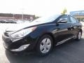 Black Onyx Pearl - Sonata Hybrid Photo No. 8