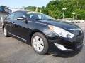 Black Onyx Pearl - Sonata Hybrid Photo No. 10