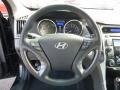 Black Onyx Pearl - Sonata Hybrid Photo No. 18