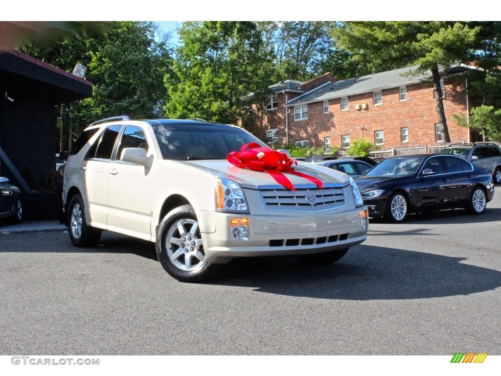 2008 SRX 4 V6 AWD - Light Platinum / Cashmere/Cocoa photo #1