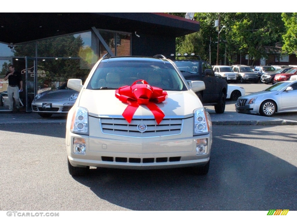 2008 SRX 4 V6 AWD - Light Platinum / Cashmere/Cocoa photo #2