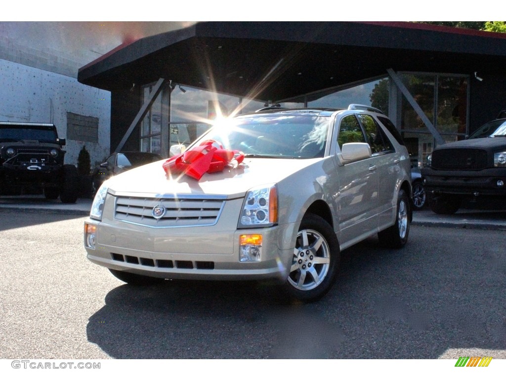 2008 SRX 4 V6 AWD - Light Platinum / Cashmere/Cocoa photo #3