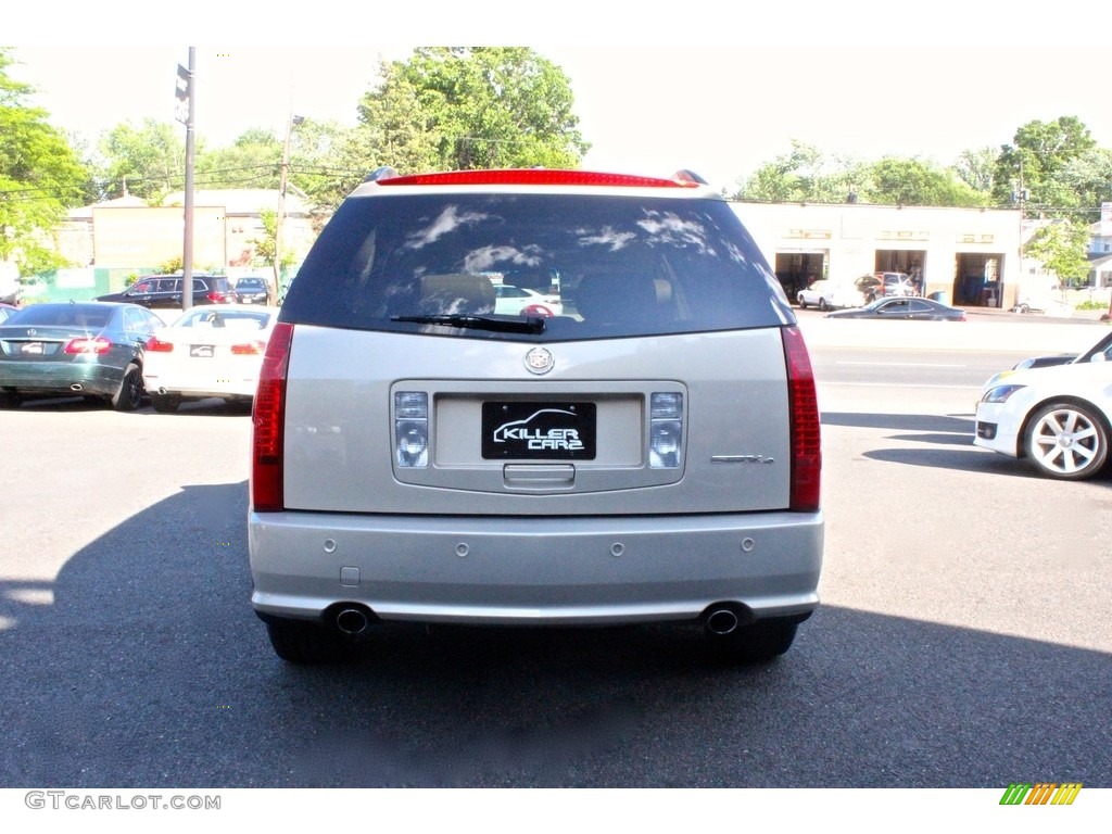 2008 SRX 4 V6 AWD - Light Platinum / Cashmere/Cocoa photo #6